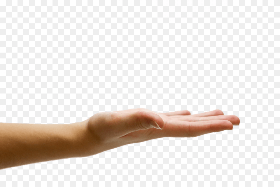 Opened Hand, Body Part, Finger, Person, Wrist Free Png Download