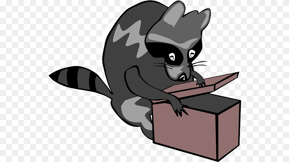 Opening Box Google Search Pet Raccoon Mammals Clip Art Open Clipart, Animal, Mammal Free Png Download