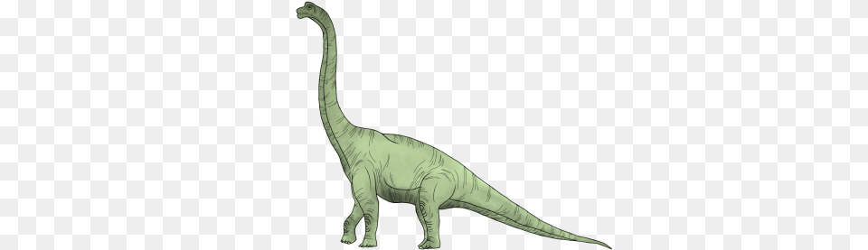 Opinion Brachiosaurus 2016, Animal, Dinosaur, Reptile, T-rex Free Png Download