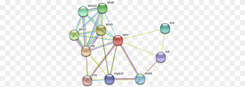 Opm Protein, Network, Chandelier, Lamp, Sphere Free Png