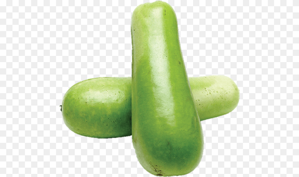 Opo Squash Each Gourd, Food, Plant, Produce, Vegetable Png Image