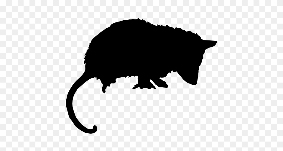 Opossum Mammal Animal Silhouette Free Vector Icons Designed, Stencil, Pig Png