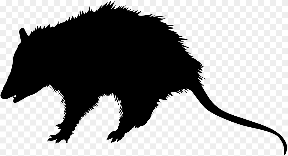 Opossum Silhouette, Animal, Dinosaur, Mammal, Reptile Free Png Download