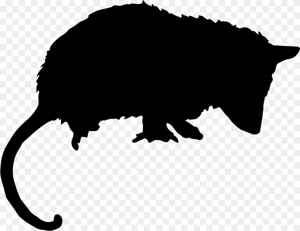 Opossum Silhouette, Stencil, Animal, Bear, Mammal Png