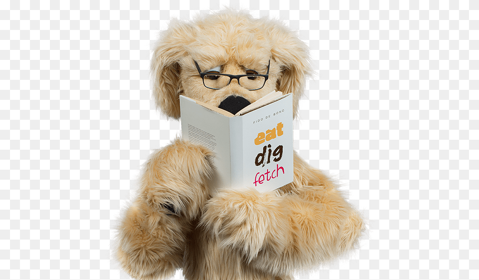 Optical Cover To Make Your Eyes Light Up Insurance, Book, Publication, Teddy Bear, Toy Png