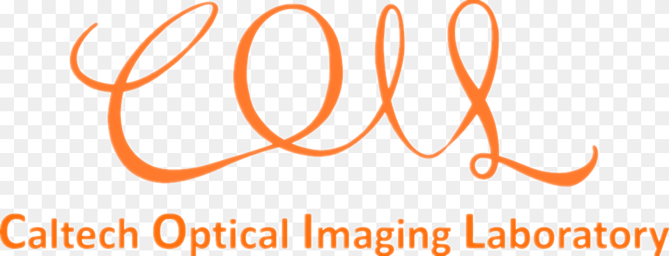 Optical Imaging Circle, Handwriting, Text, Calligraphy, Logo Free Png Download