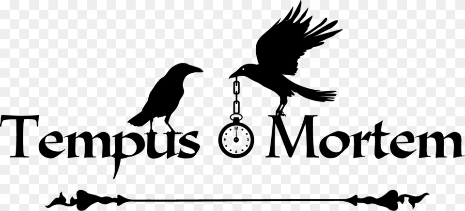 Optiion 1 2x American Crow, Nature, Night, Outdoors Free Png Download