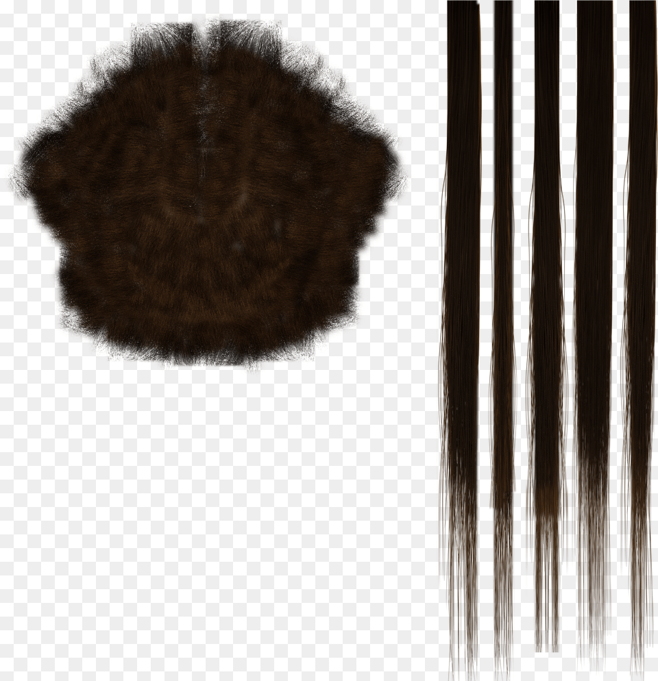 Optional Diffuse Texture Lace Wig, Wood, Nature, Outdoors Free Png Download
