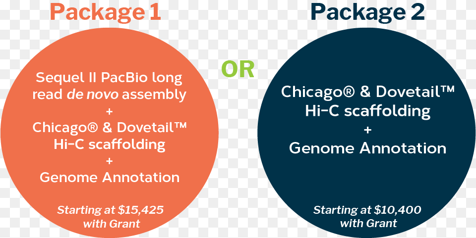 Options Circle, Diagram Png Image