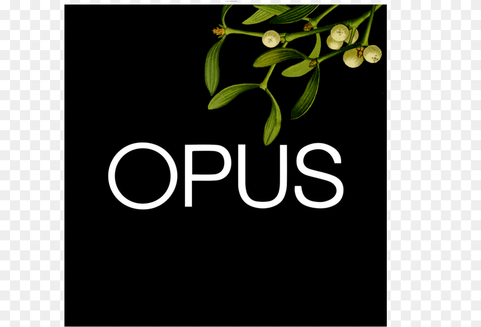 Opus Christmas Logo Graphic Design, Leaf, Plant, Herbal, Herbs Free Transparent Png