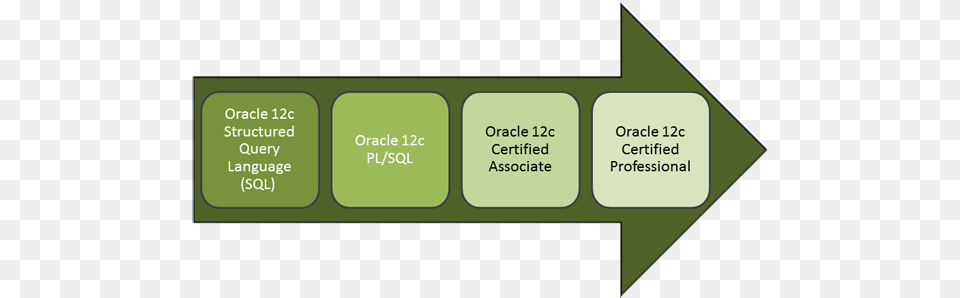 Oracle Classes Path Oracle Database Certification Path, Text Free Png