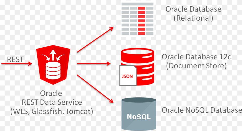 Oracle Support Services Oracle Ords, Coil, Spiral, Cup Png