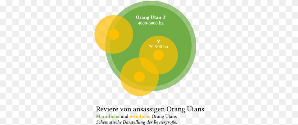 Orang Circle, Diagram, Disk Free Transparent Png