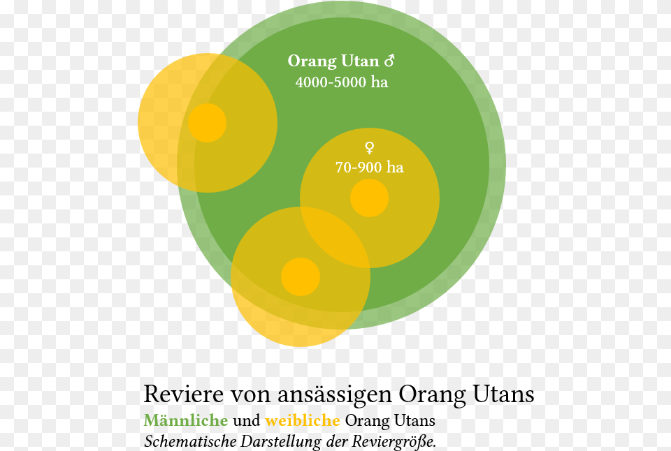 Orang Utan Revier Circle, Diagram, Disk Free Png Download