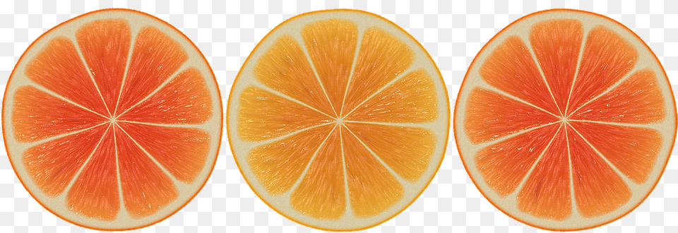 Orange Citrus Fruit, Food, Fruit, Grapefruit Free Png