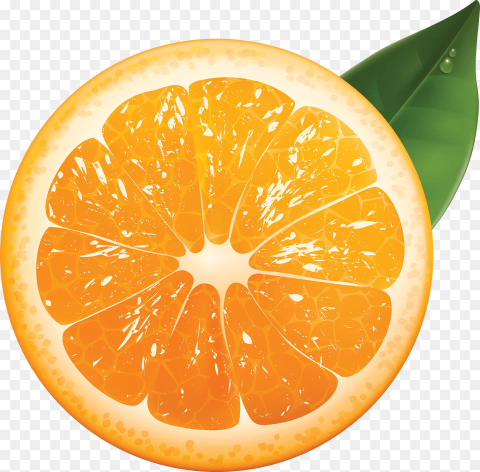Orange, Citrus Fruit, Food, Fruit, Grapefruit Free Png Download