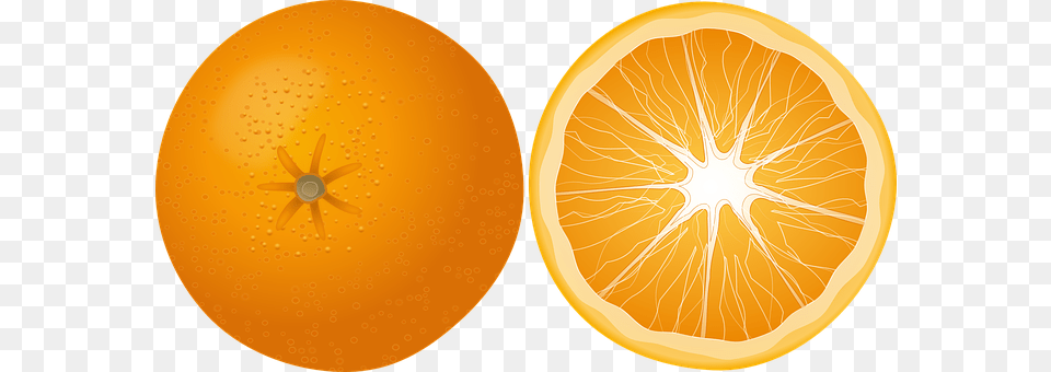 Orange Citrus Fruit, Food, Fruit, Grapefruit Free Png Download