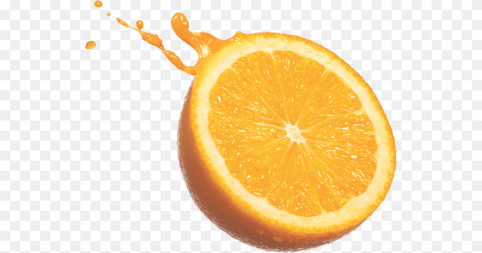 Orange, Citrus Fruit, Food, Fruit, Plant Png