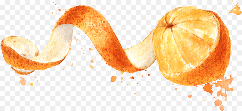 Orange Png Image