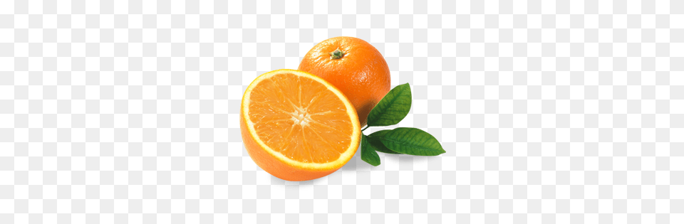 Orange, Citrus Fruit, Food, Fruit, Plant Free Png Download