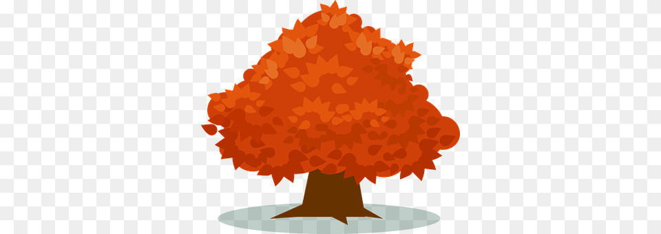 Orange Maple, Plant, Tree, Vegetation Free Png