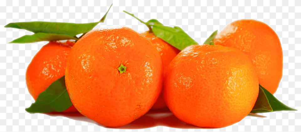 Orange Citrus Fruit, Food, Fruit, Plant Free Png Download