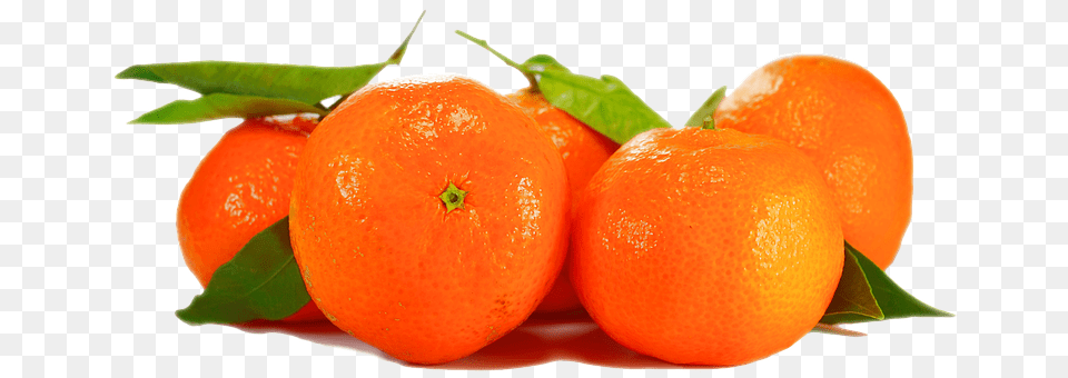 Orange Citrus Fruit, Food, Fruit, Plant Free Transparent Png