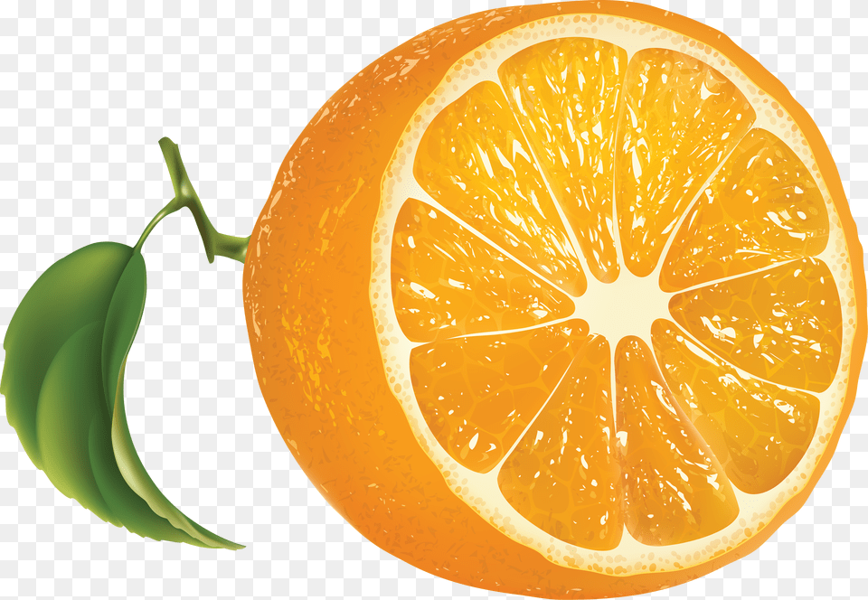 Orange, Citrus Fruit, Food, Fruit, Plant Free Png Download