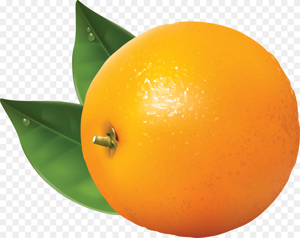 Orange, Citrus Fruit, Food, Fruit, Grapefruit Png Image