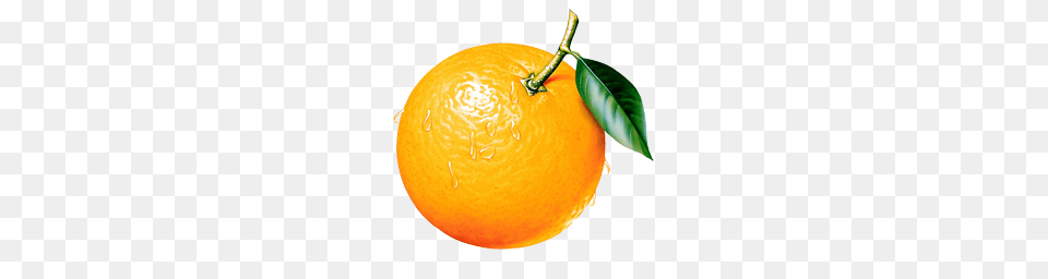 Orange, Citrus Fruit, Food, Fruit, Plant Free Png Download