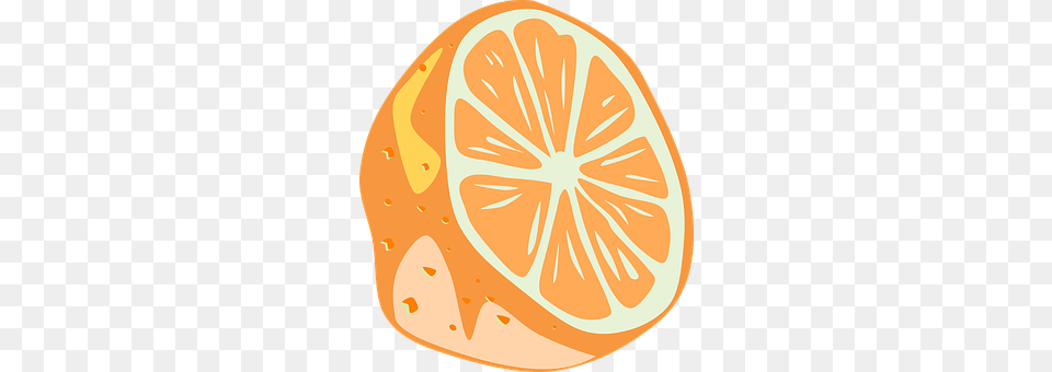 Orange Citrus Fruit, Food, Fruit, Grapefruit Png Image