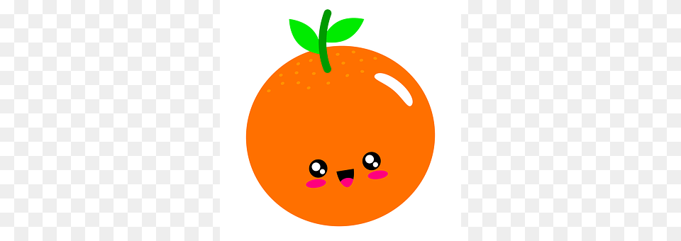Orange Citrus Fruit, Food, Fruit, Plant Png Image