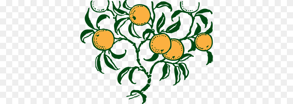 Orange Art, Floral Design, Graphics, Green Png Image