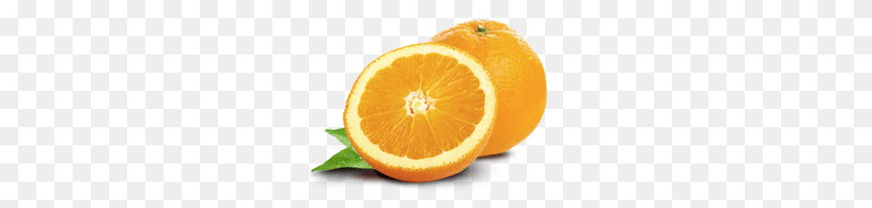 Orange, Citrus Fruit, Food, Fruit, Plant Free Png