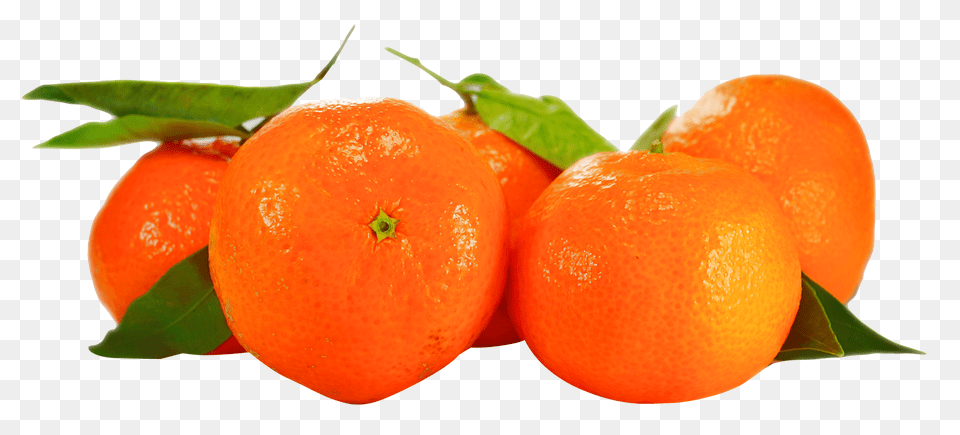 Orange, Citrus Fruit, Food, Fruit, Grapefruit Free Transparent Png
