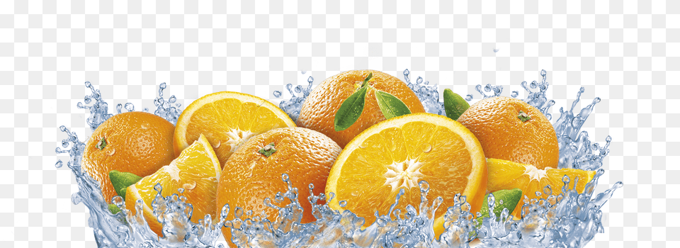 Orange, Citrus Fruit, Food, Fruit, Grapefruit Png Image