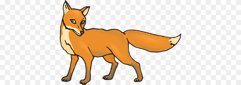 Orange Animal, Canine, Fox, Mammal Free Transparent Png