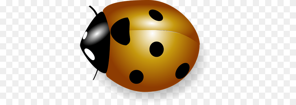 Orange Sphere, Helmet, Disk Png