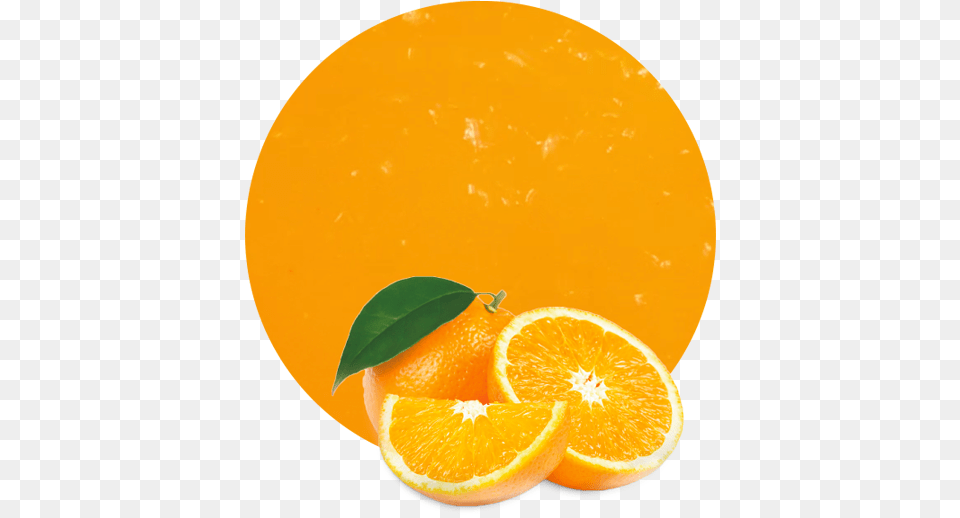 Orange, Citrus Fruit, Food, Fruit, Plant Png Image