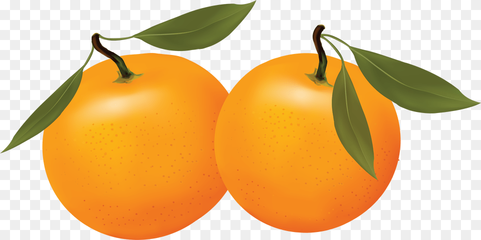 Orange, Citrus Fruit, Food, Fruit, Produce Png Image