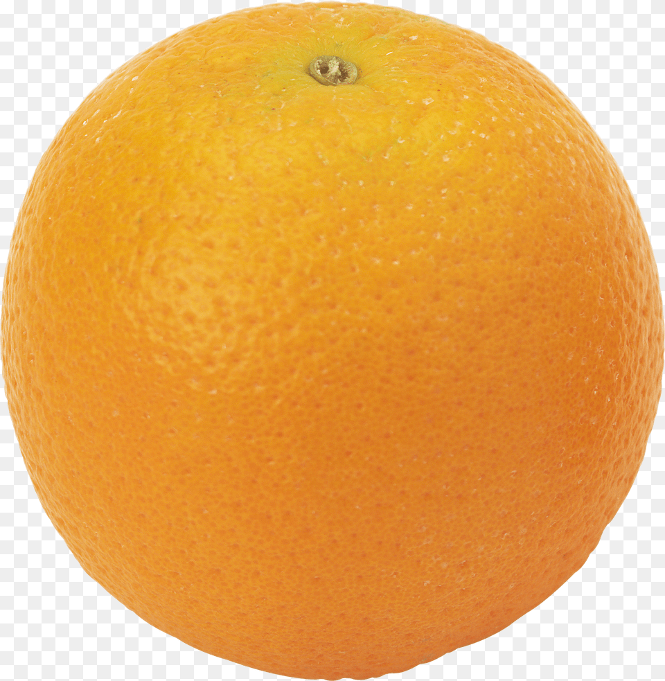 Orange, Citrus Fruit, Food, Fruit, Grapefruit Free Png Download