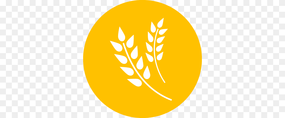 Orange Agriculture Icon, Plant, Leaf, Logo, Herbal Free Png