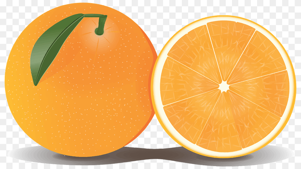 Orange And A Half Clipart, Citrus Fruit, Food, Fruit, Grapefruit Free Transparent Png