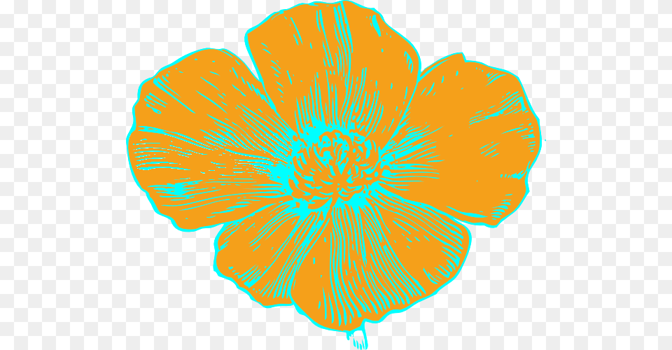 Orange And Blue Poppy Clip Art For Web, Anemone, Anther, Flower, Petal Png Image