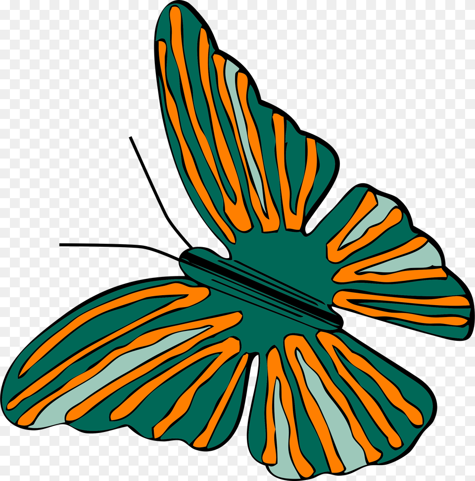 Orange And Green Butterfly, Animal, Person, Insect, Invertebrate Free Transparent Png