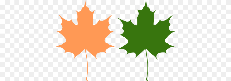 Orange And Green Maple Leaves Vector Drawing, Leaf, Maple Leaf, Plant, Tree Free Png Download