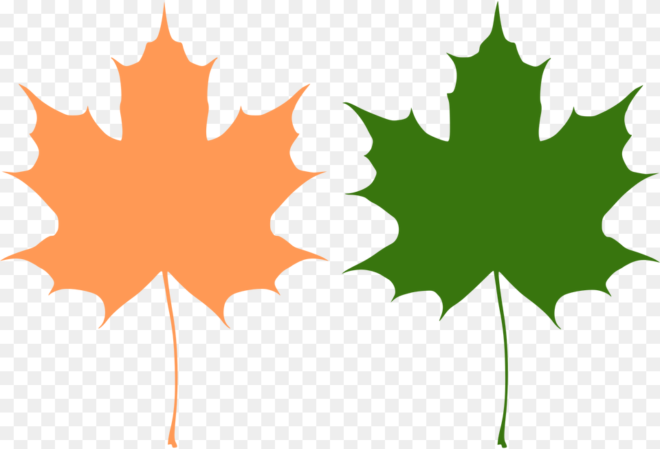 Orange And Green Maple Leaves Vector Drawing Svg Maple Leaf Vector, Maple Leaf, Plant, Tree, Person Free Png