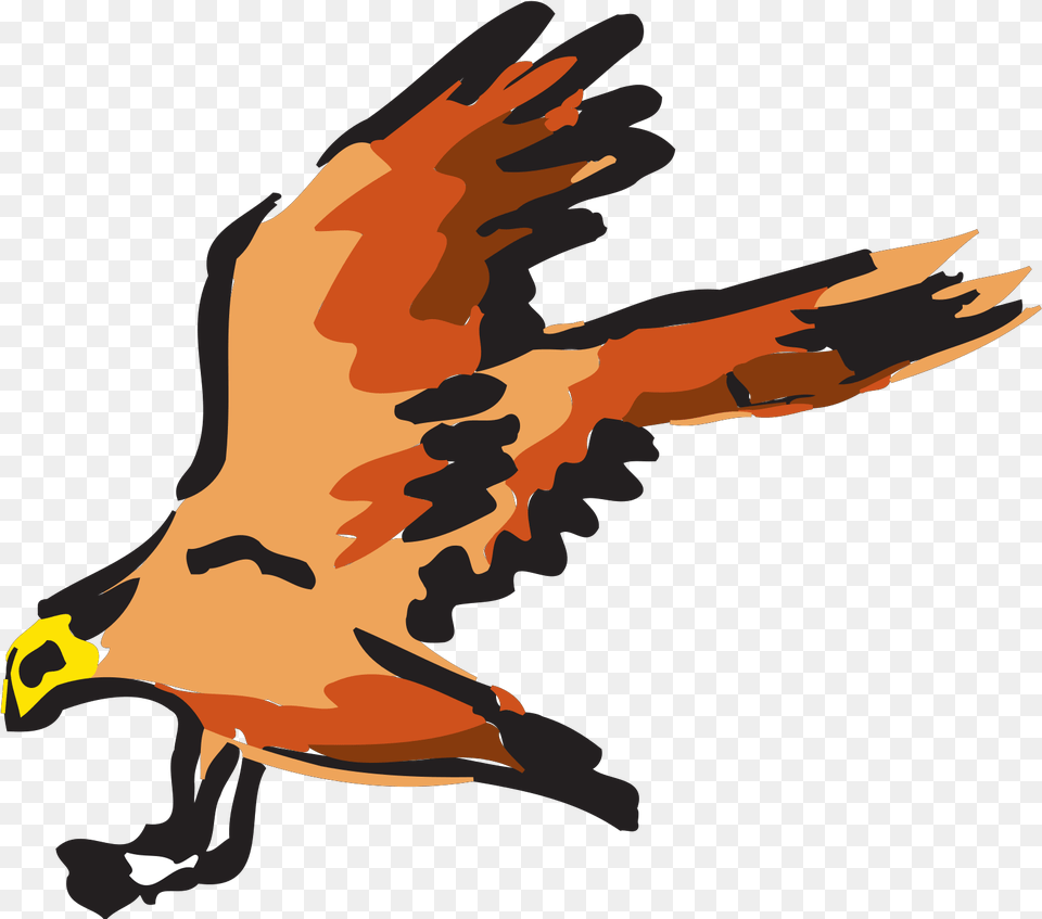 Orange And Red Bird Flying Svg Vector Red Hawk Clipart Transparent Background, Vulture, Animal, Beak, Male Free Png