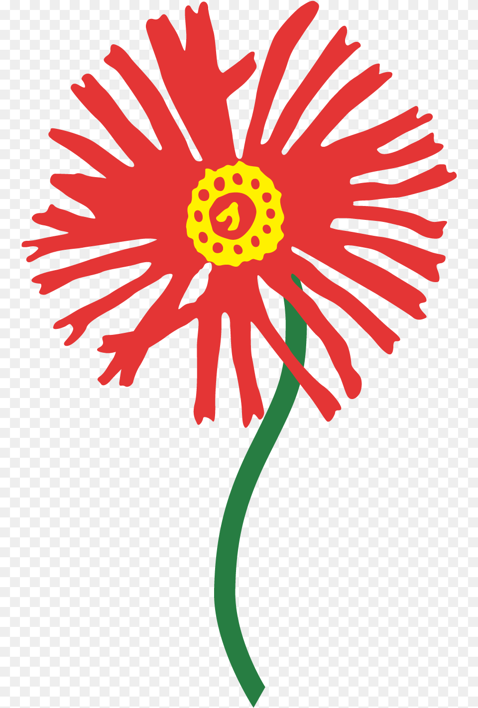 Orange And Red Sunburst, Daisy, Flower, Plant, Anther Png Image