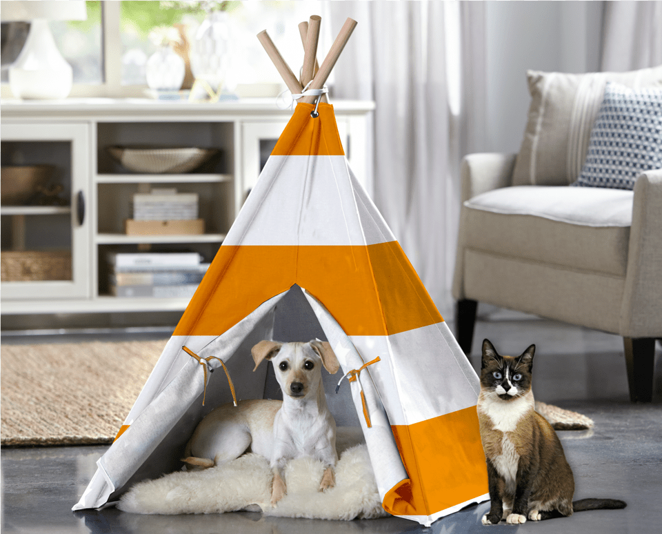 Orange And White, Tent, Animal, Canine, Cat Free Png